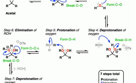 Acetal And Hemiacetal Formation Reaction Mechanism From Aldehydes And ...