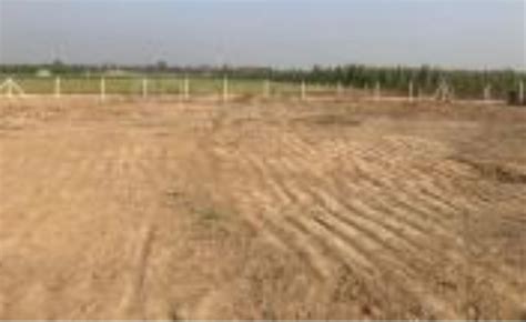 20 Marla Residential Plot For Sale In Sector 11 Panchkula REI1158619