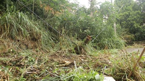 Defesa Civil Registra Nove Deslizamentos De Terra E Amea As De