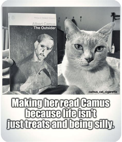 Camus Thestranger Cat Catlover Books Credit Meursault Etta