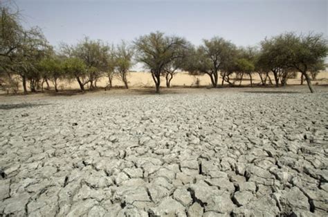 In pictures: The Sahel drought | Gallery | Al Jazeera