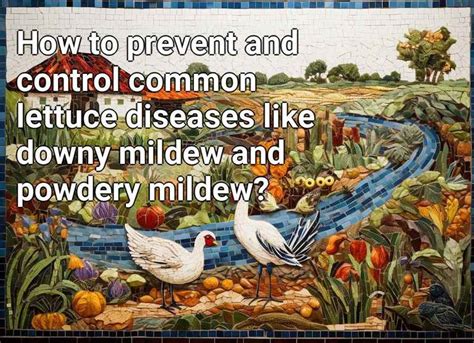 How To Prevent And Control Common Lettuce Diseases Like Downy Mildew