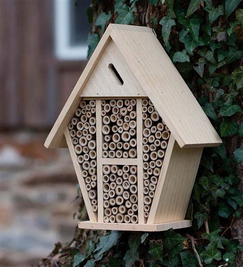 Where To Hang A Bee House Farmers Almanac Plan Your Grow