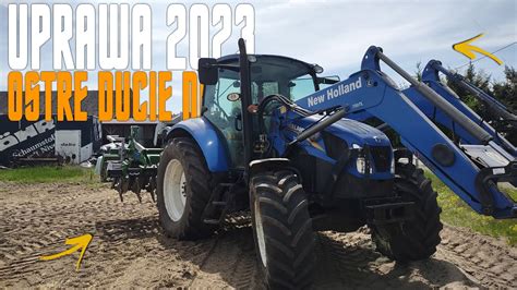 UPRAWA POD KUKURYDZĘOSTRE DUCIE NA KOGUCIE New Holland w Akcji GR