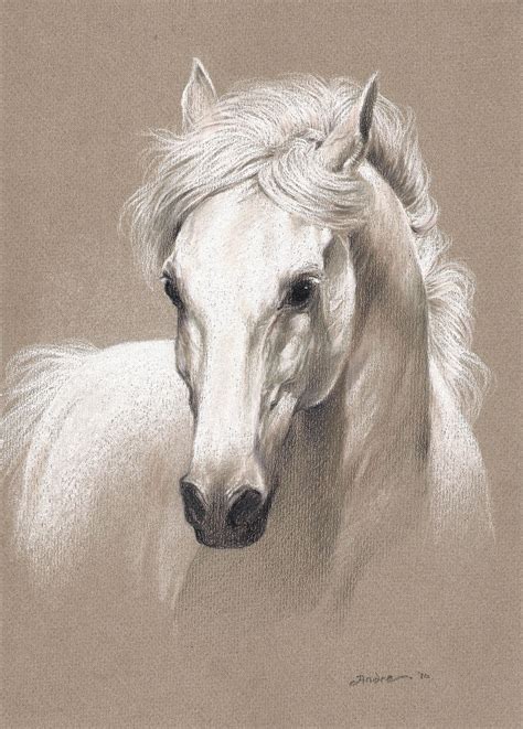 Pin By David Moseley On Got Horses Horse Art Drawing Horse Art