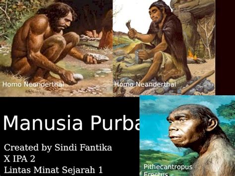 PPTX Manusia Purba Di Dunia Manusia Purba Di Eropa Ciri Fisik