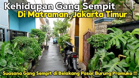 Kehidupan Di Gang Sempit Di Matraman Jakarta Timur Di Belakang Pasar