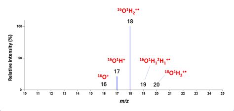 Mass Spectrometry Basics Mass Spectrometry Jeol Usa