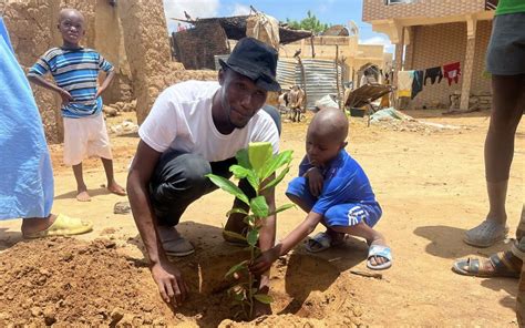 Matam Campagne De Reboisement Plus De Arbres Dont De