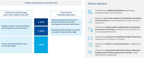 Polityka Kapita Owa I Dywidendowa Grupy Pzu Pzu Raport Roczny