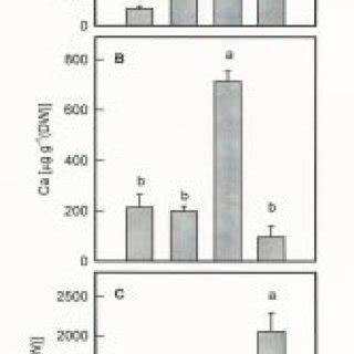 Effect Of Alcl Cacl And Mgcl On The Levels Of Al Ca And Mg In