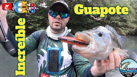 Pesca De Guapotes Con Superficiales Paseantes Youtube