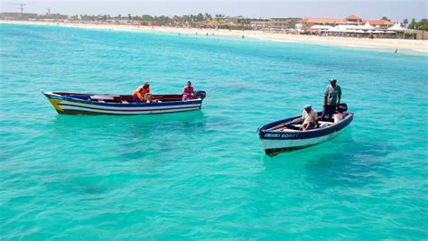 La Seguridad A Bordo O El Monitoreo De Tiburones Entre Los Potenciales