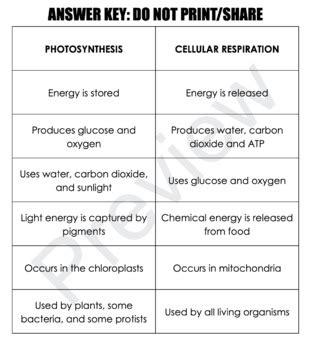 Cellular Energetics Activity 4 Answers Sale Online Smarys Org