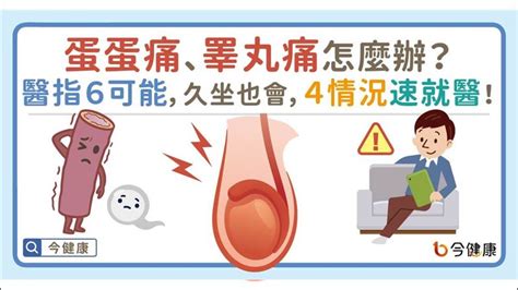 確保睪丸安全 醫指4情況應盡早就醫檢查 祝你健康 三立新聞網 Healthsetncom