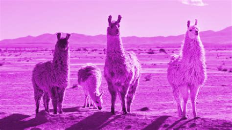 Llms Keep Leaping With Llama 3 Metas Newest Open Weights Ai Model