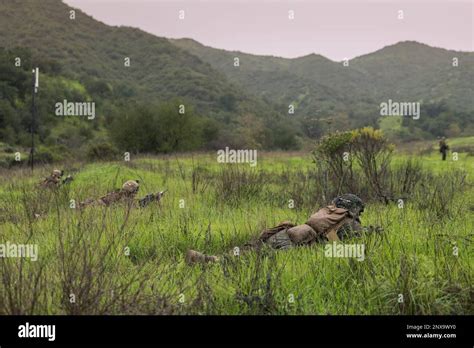 U S Marines With Alpha Company 3rd Light Armored Reconnaissance