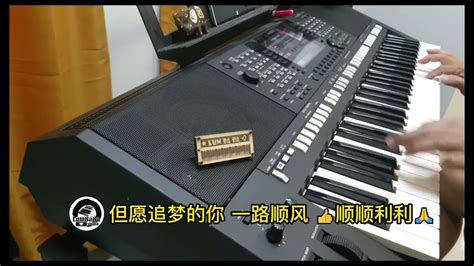 追梦人 电子琴经典老歌演奏 YAMAHA PSRS 775 Cover By LumBaBa YouTube