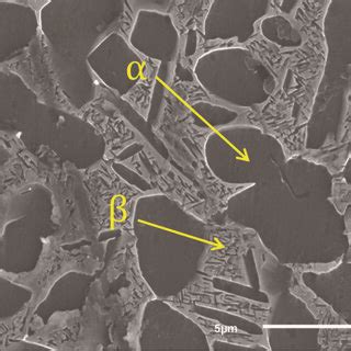 Ti-17 titanium alloy microstructure. | Download Scientific Diagram