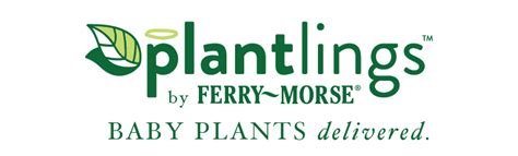 Ferry Morse Home Gardening Plantlings Picks Now Available To Ship