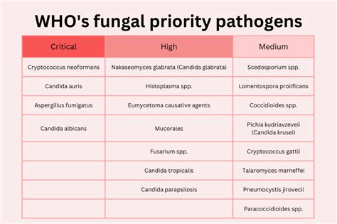 Who Publishes First List Of Fungal Priority Pathogens