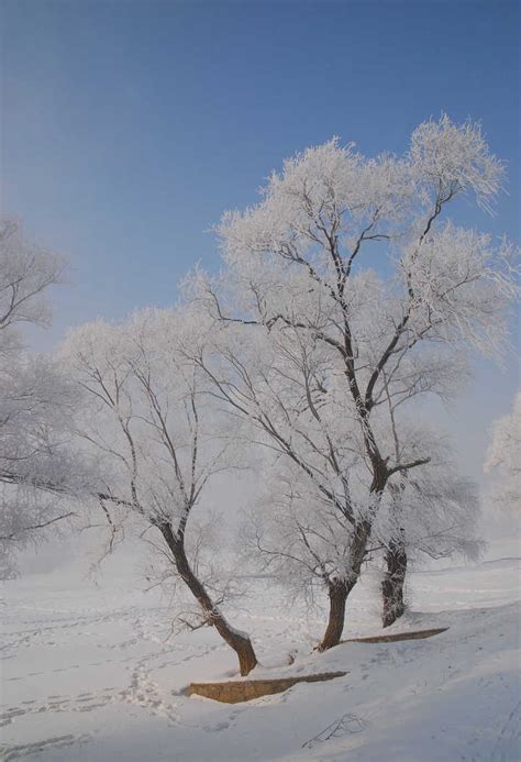 霰雪图册_360百科