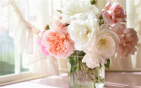 Herunterladen Hintergrundbild Rosa Rose Bokeh Rosen In Der Vase Rosa