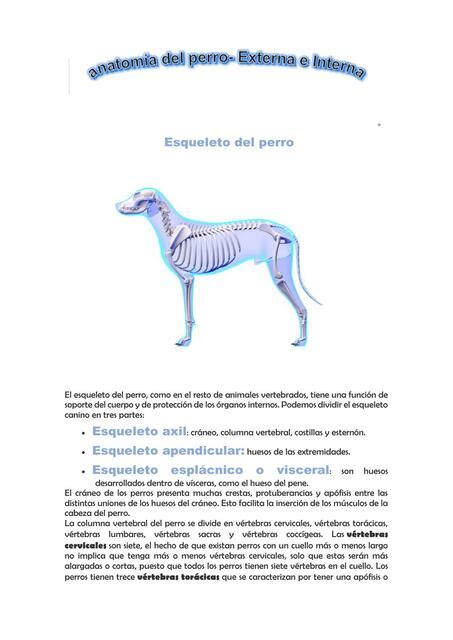 Anatomía del Perro Externa e Interna Jazmin P uDocz