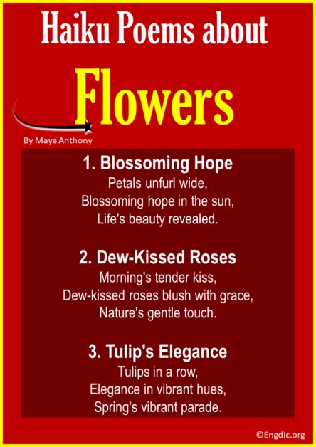 10 Best Haiku Poems about Flowers - EngDic