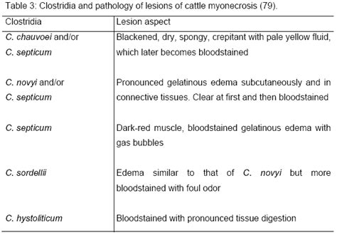 Clostridia - Alchetron, The Free Social Encyclopedia