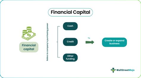 Financial Capital Definition Types Example Importance