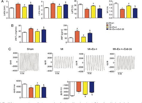 Figure 1 From Exendin 4 Inhibits Atrial Arrhythmogenesis In A Model Of Myocardial Infarction