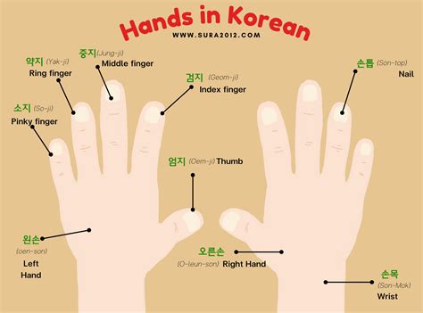 Hand Meaning In Korean At Joanne Ledet Blog