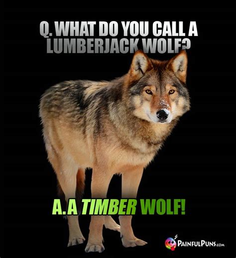 Wolf Jokes Howl Puns Werewolf Humor 3