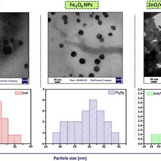 Tem Micrographs And Particle Size Histograms Of Zno Nps Fe O Nps And