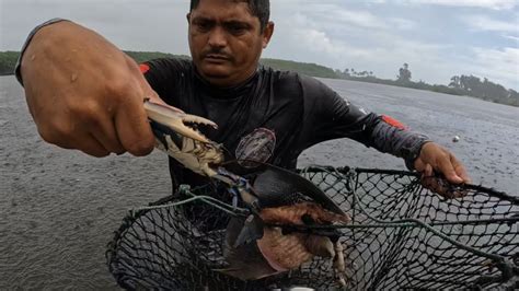 A Melhor Isca Pra Pesca De Siri Pescamos E Preparamos Na Beira Do Rio