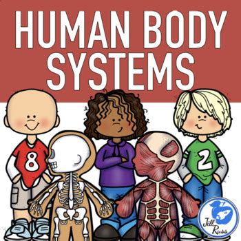 Human Body System Unit Lapbook Informational Text By Jill Russ