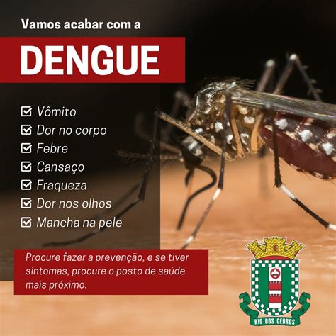 N O Ignore Os Sinais Da Dengue Cuide Da Sua Sa De Prefeitura De Rio