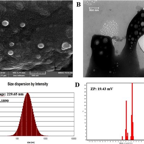 A And B Sem And Tem Images Of Lwsplgafacs Nps C Dls