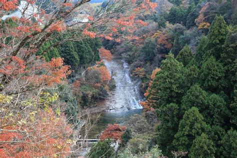 養老渓谷の紅葉2024の見頃とライトアップは？混雑や駐車場は？ ツクの世界