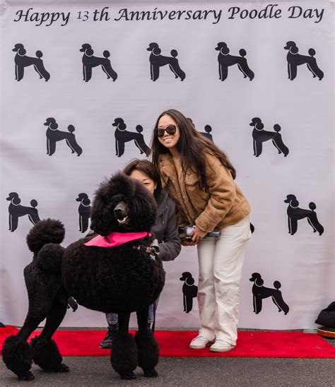 Winners Of The Poodle Day Parade In Carmel