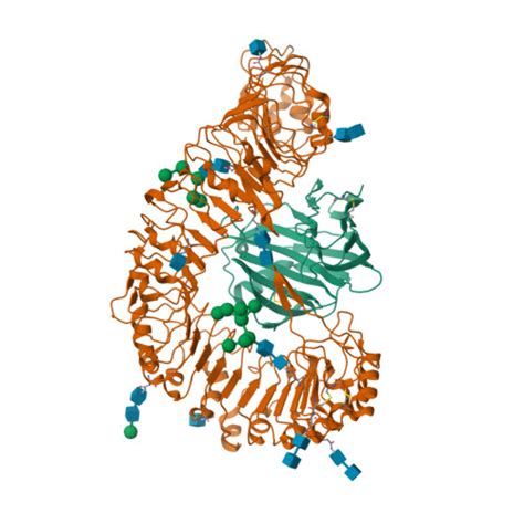 RCSB PDB 7DRB Crystal Structure Of Plant Receptor Like Protein RXEG1