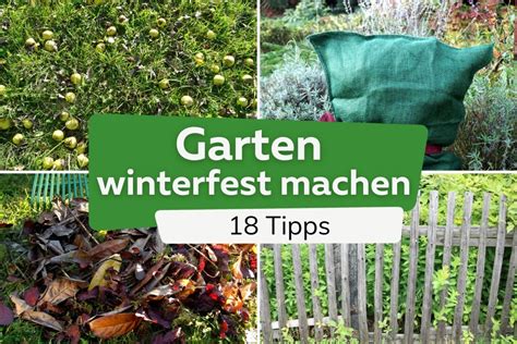 Garten Winterfest Machen Checkliste Mit Tipps