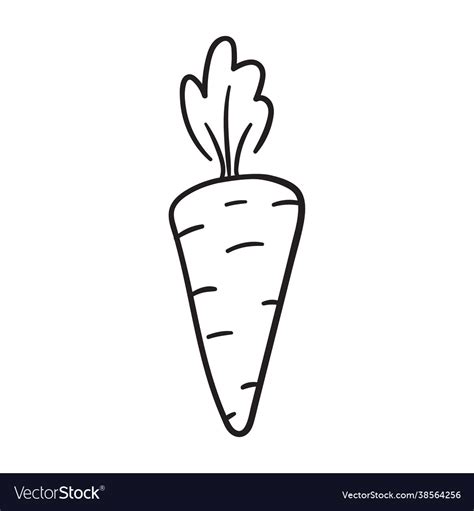 Carrot icon Royalty Free Vector Image - VectorStock