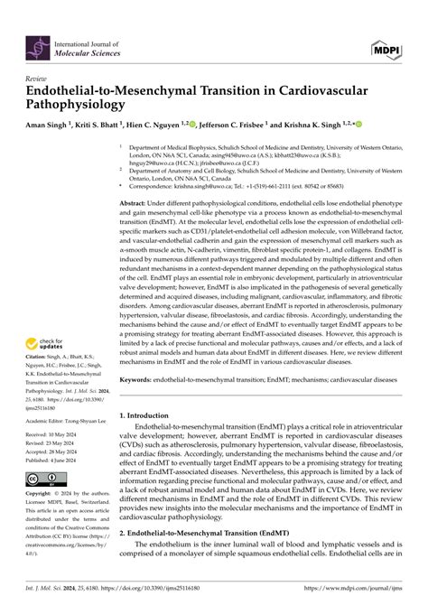 PDF Endothelial To Mesenchymal Transition In Cardiovascular