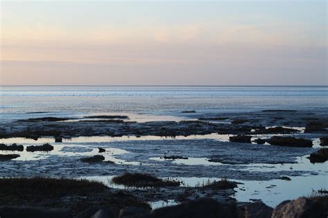 Sunset Wadden Sea Free Photo On Pixabay Pixabay