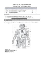 Week Modified Laboratory Worksheet Docx Bios Ap Iii Week