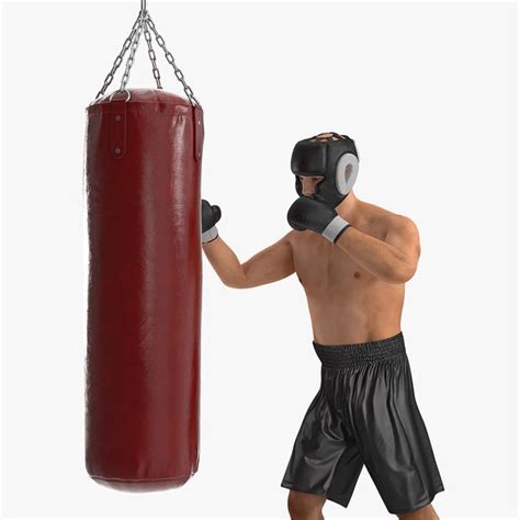 Sacos De Boxeo Punching Ball Ppgbbe Intranet Biologia Ufrj Br