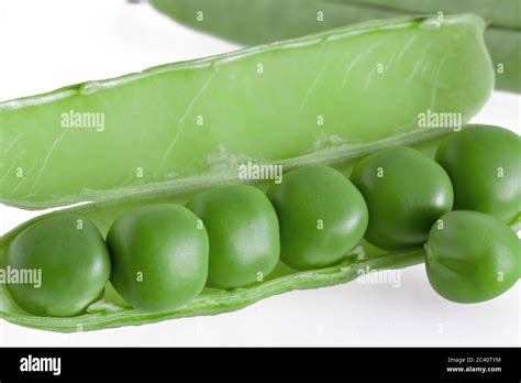 Fresh Peas Lie In An Opened Pod Isolated On White Background Stock