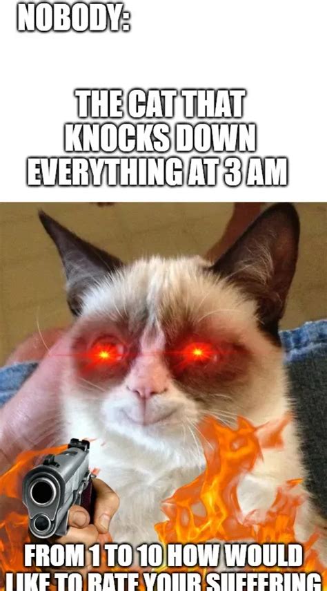 Grumpy Cat Happy Meme Generator Pi Ata Farms The Best Meme